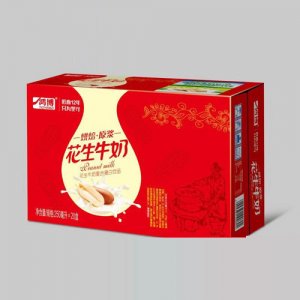 山东鸿博 花生牛奶250mlx20盒