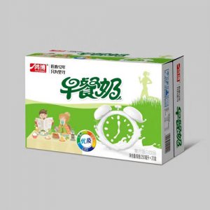 山东鸿博 早餐牛奶250mlx20盒