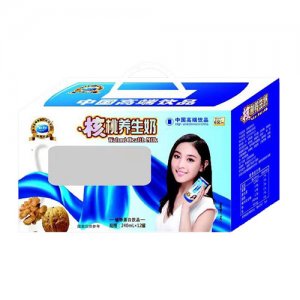 诚联天下核桃养生奶240mlx12罐