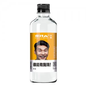 象牙山饮用天然矿泉水文松500ml