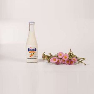 壹鹏核桃花生牛奶220ml