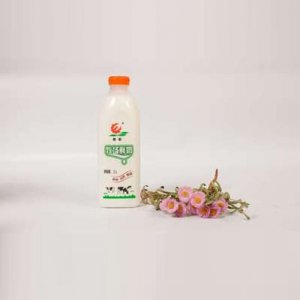 壹鹏牧场鲜奶500ml