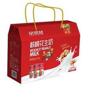 常想知核桃花生奶植物蛋白饮料手提装