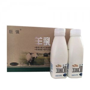 巨强羊乳乳酸菌
