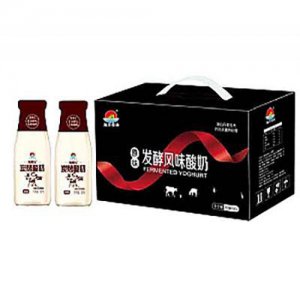 旭日食品发酵风味酸奶炭烧箱装