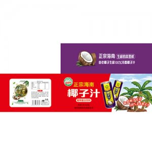 山水情椰子汁外箱-24罐