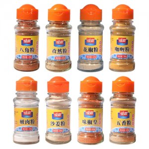 佳霖调味粉25g