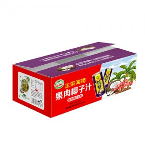 山水情245ml果肉椰子汁24瓶装