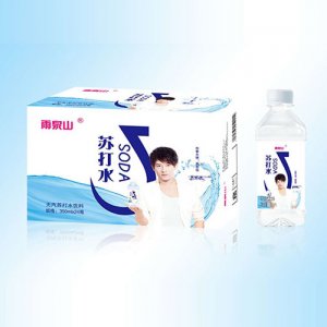 雨泉山原味苏打水（男星代言）350mlX24