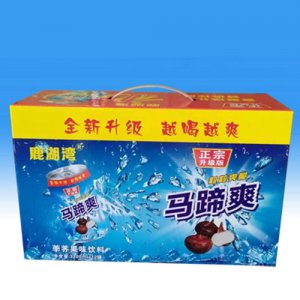 送福来鹿湖湾马蹄爽果味饮料