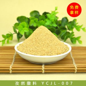 香曼食品孜然粉烧烤外撒料20kg1箱