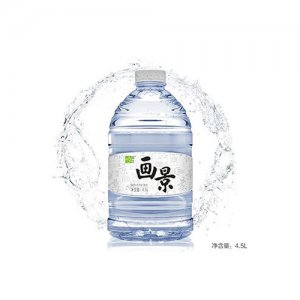 画景4.5L碱性水