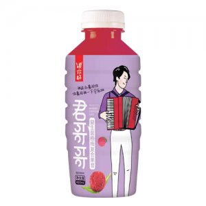 喂你好君哥哥益生菌杨梅复合果汁480ml