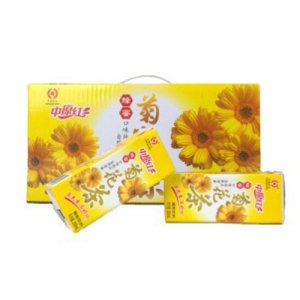 中原红菊花茶