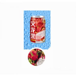 康辉火龙果果汁