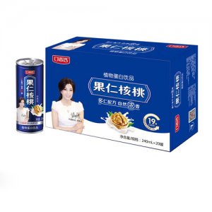口香传果仁核桃标箱240×20罐