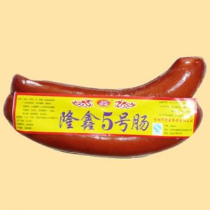 隆鑫5号肠