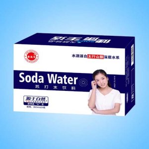 口口珍金浪湾苏打水350mlx24瓶