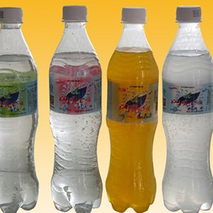 闪亮e族塑瓶碳酸饮料