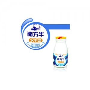 南方牛高钙水牛鲜奶