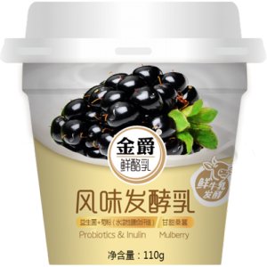 友芝友金爵风味发酵乳110g桑葚味