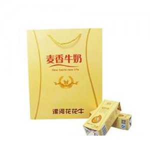 康伴麦香牛奶礼盒装