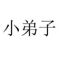 长沙小弟子食品有限公司