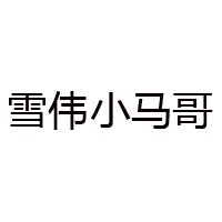 阜阳市雪伟食品有限公司