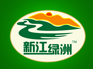 新疆特产—“新江绿洲”和田大枣