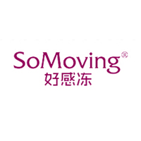 新加坡好利时国际投资有限公司