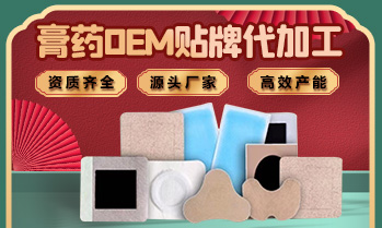 禹州市和记药业有限公司