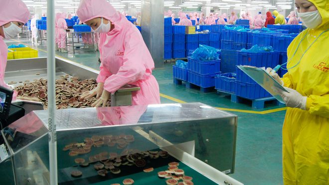 宠物食品第三股来了！ OEM 模式为主，能吃到宠物市场大蛋糕吗？.jpg