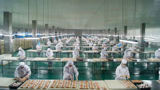 宠物食品第三股来了！ OEM 模式为主，能吃到宠物市场大蛋糕吗？1.jpg