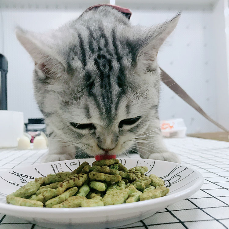 山东派克宠物食品有限公司.jpg