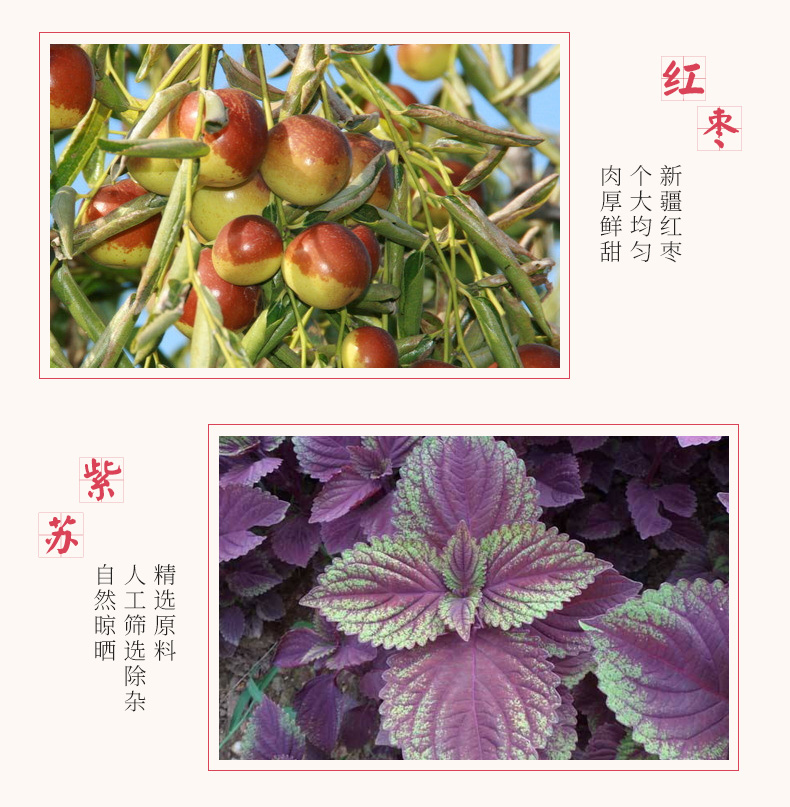 紅糖姜茶_07.jpg