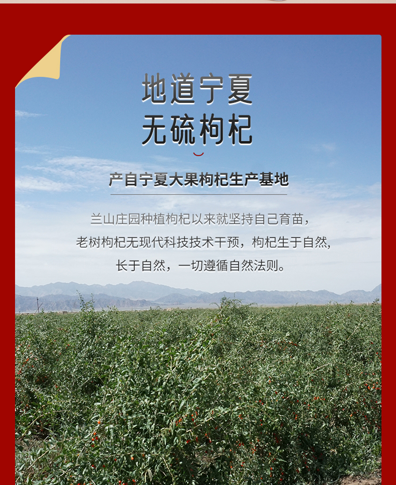 詳情_08.jpg