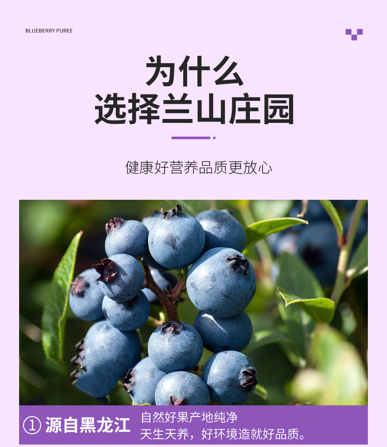 蓝莓原浆_08.jpg