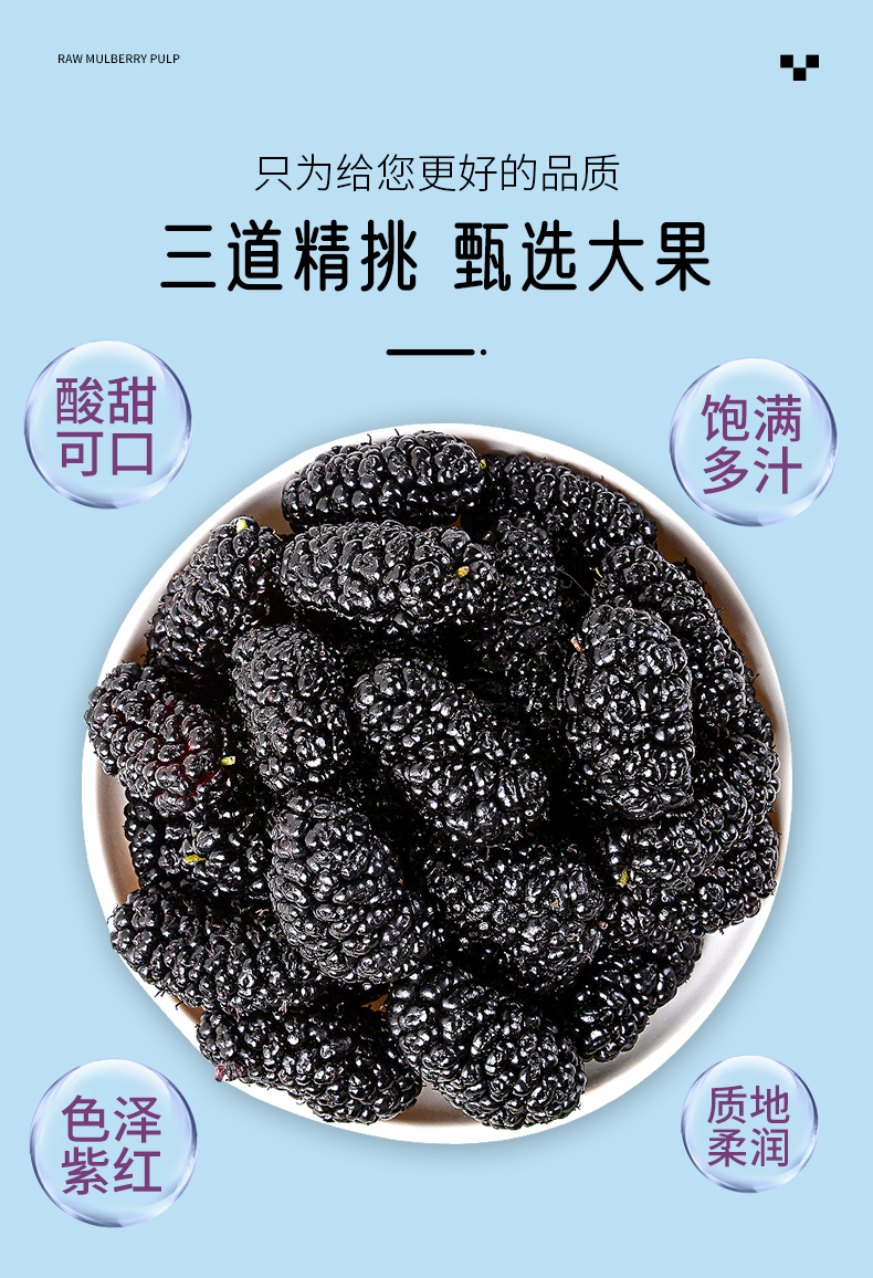 桑葚原漿_06.jpg