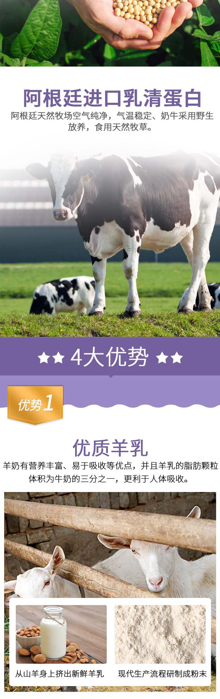 3-詳情圖.jpg