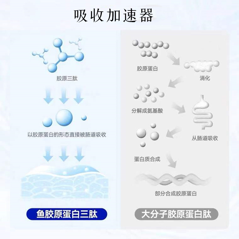 5-主图.jpg