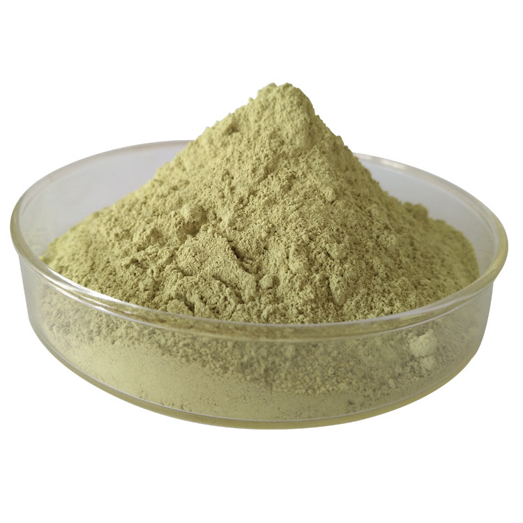 專業(yè)西蘭花粉代加工工廠,盡心竭力為您服務