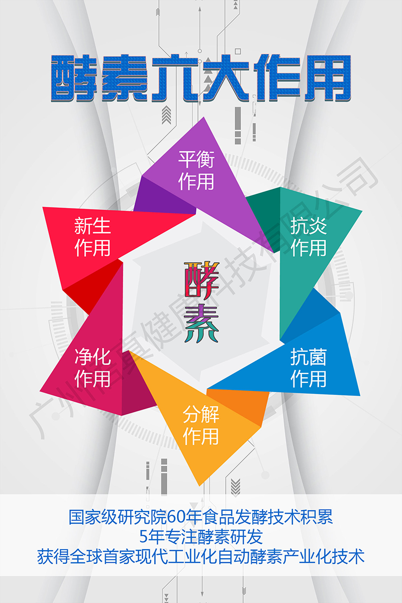 酵素作用.jpg