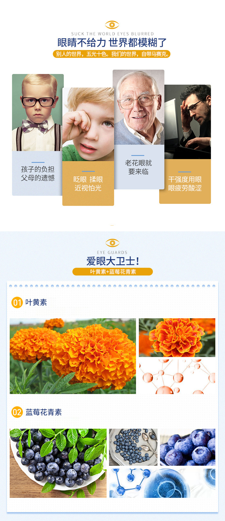藍莓葉黃素片詳情_02.jpg