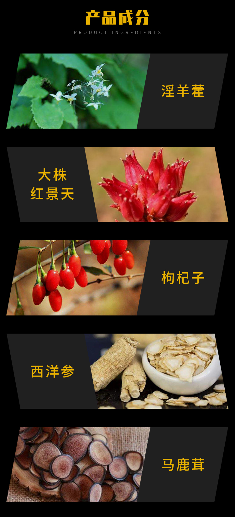 力健膠囊詳情_03.png