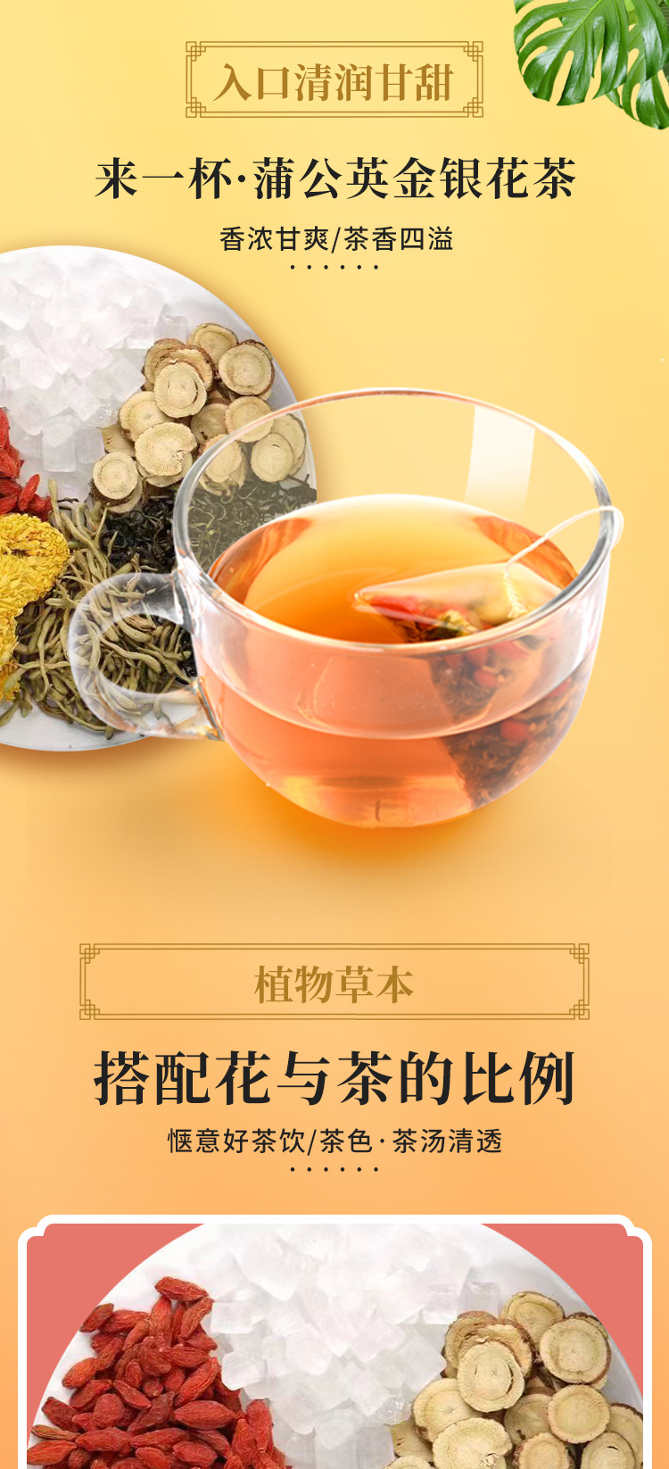 蒲公英金银花茶 (3).jpg