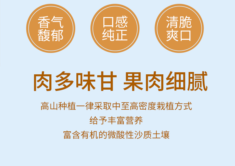 详情页_02.jpg