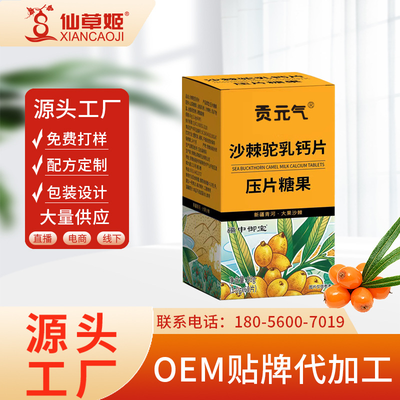 贡元气沙棘驼乳钙片60片 瓶压片益生菌驼乳钙片钙片儿童青少年.jpg