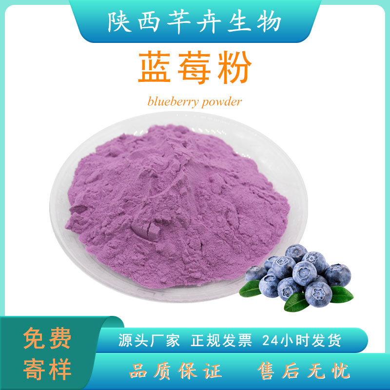 蓝莓粉食品级 蓝莓提取物 水溶蓝莓果粉 蓝莓汁 浓缩粉 厂家现货.jpg