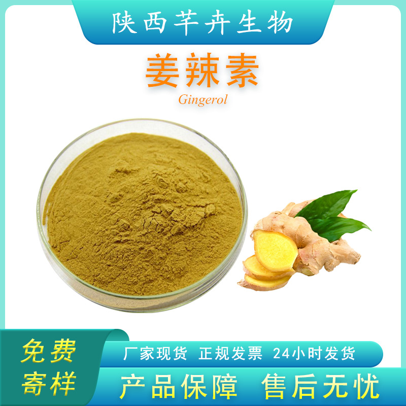 姜辣素 5%多规格 食品级 生姜提取物 姜酚 姜辣素粉原料 厂家包邮.jpg