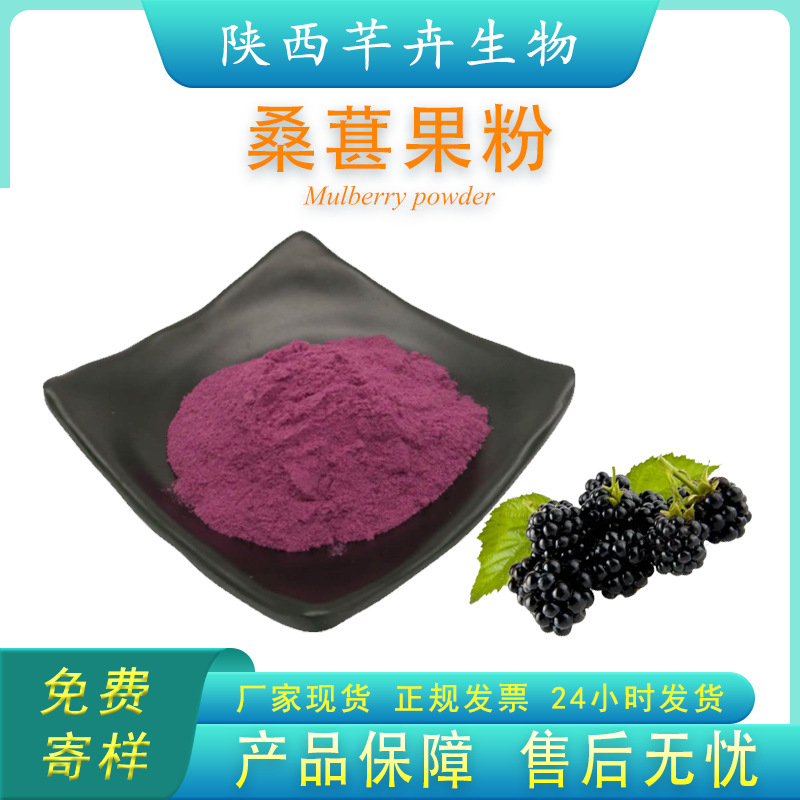 桑葚粉99% 水溶桑葚果粉 桑葚提取物 另有桑葚冻干粉 1KG厂家包邮.jpg